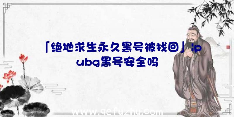 「绝地求生永久黑号被找回」|pubg黑号安全吗